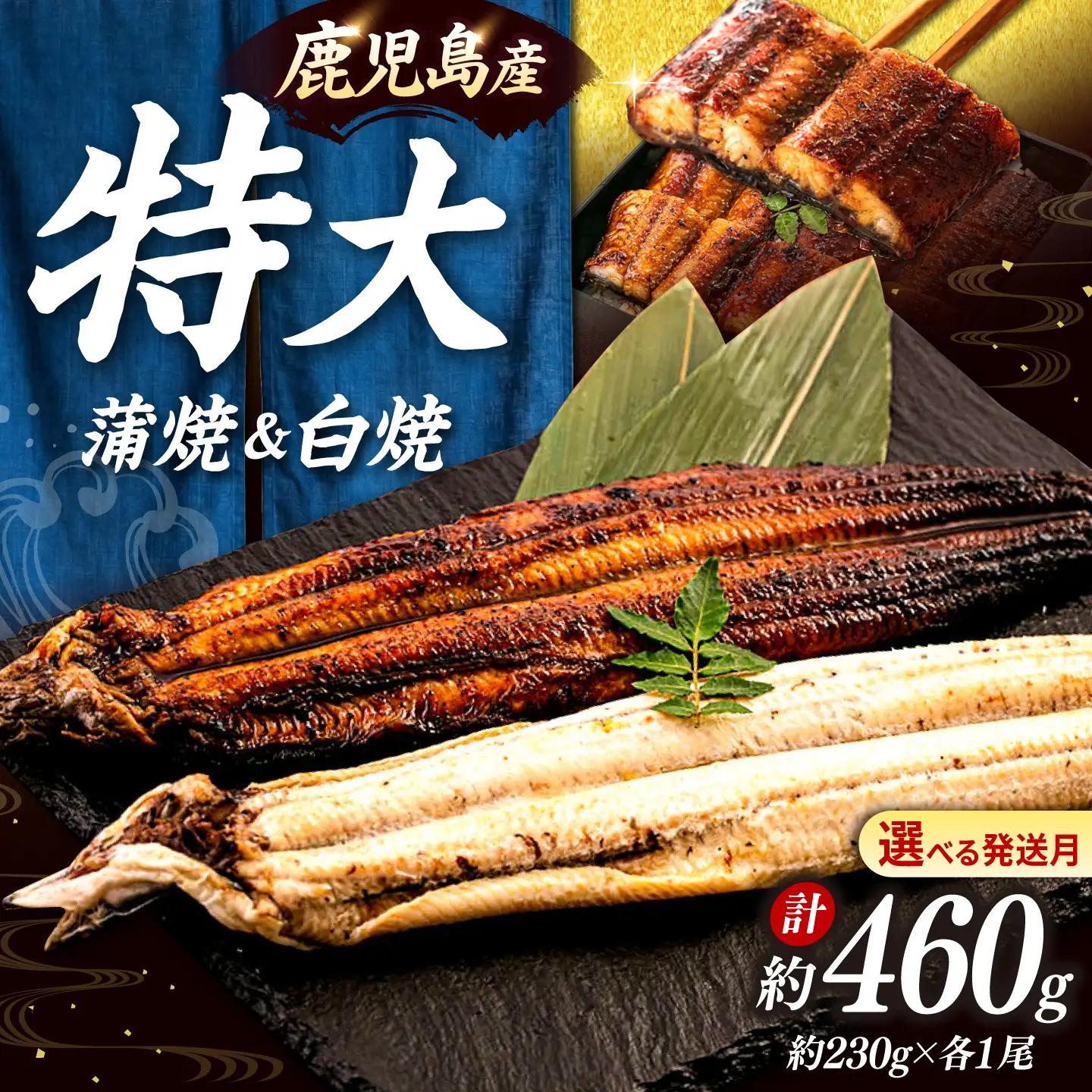鹿児島産 うなぎ 2尾 蒲焼・白焼 食べ比べ セット 特製秘伝のタレ付き！ 桂川町/山水商事 [ADAH007] うなぎ 蒲焼き 白焼き セット 九州
