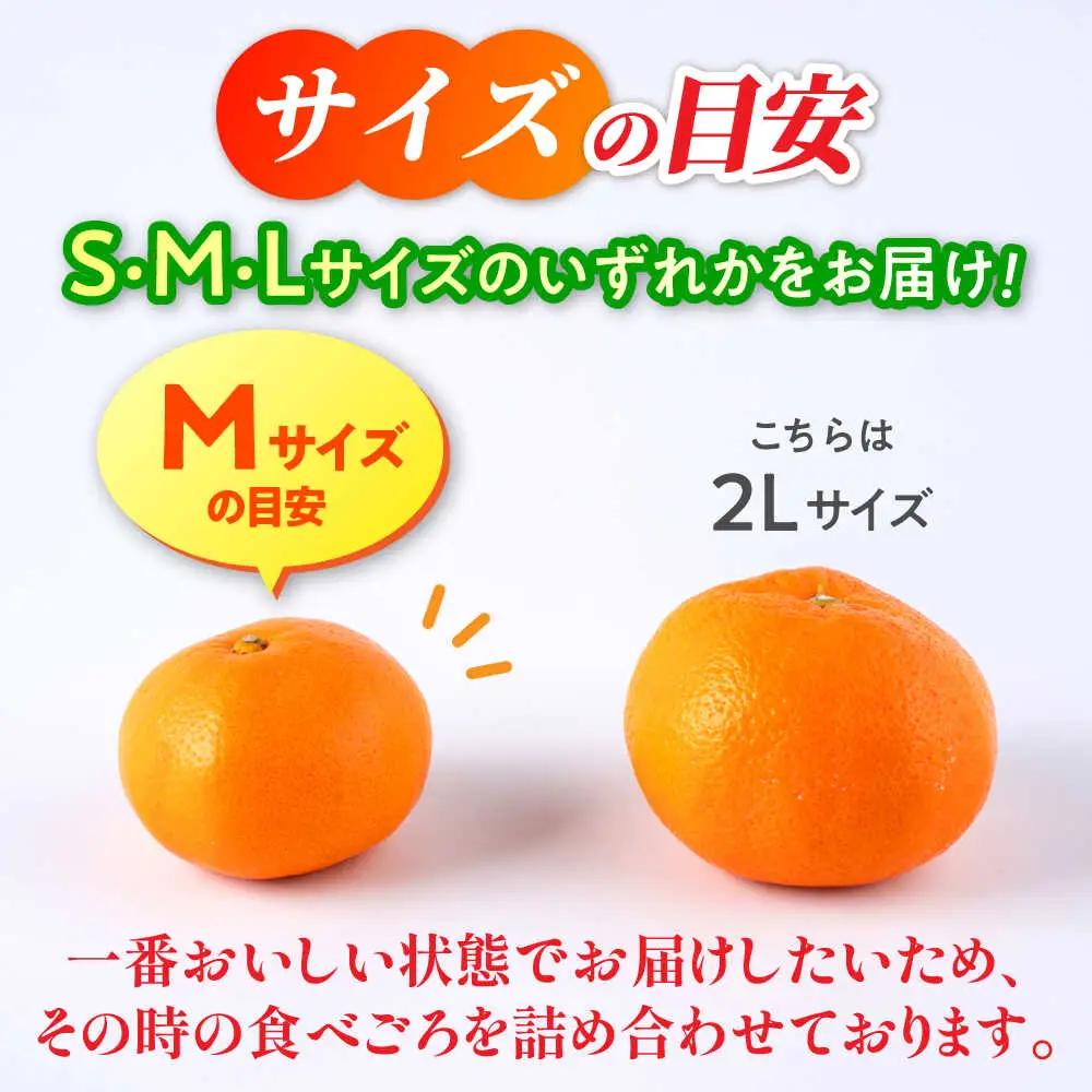 ＼生活応援よか値キャンペーン／【先行予約】 旨み凝縮！ 飛龍台木 白川 温州 みかん S〜Lサイズ 約5kg 山鹿市産　【小春農園】[ZBN009-CP]