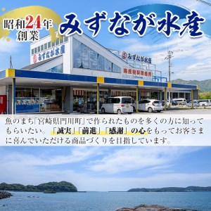 ソフトさきいか(計約600g・100g×6P)干物 おつまみ 珍味 海産物 常温 保存【E-26】【水永水産】
