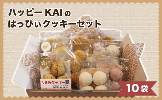 はっぴぃクッキーセット　DD-2