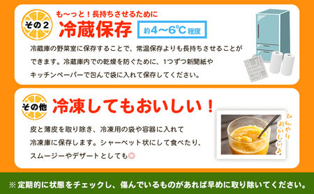 ＜愛媛県西予市産 伊予柑 ご家庭用 約4kg＞ 約15～25個入り 訳あり 果物 くだもの フルーツ みかん ミカン オレンジ 柑橘 イヨカン いよかん 食べて応援 特産品 宇都宮物産 愛媛県 西予市