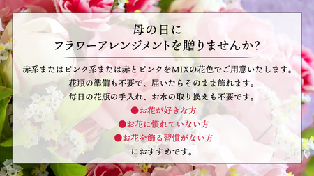 【 母の日 】 フラワー アレンジメント M 赤・ピンク 系[CT082ci01]