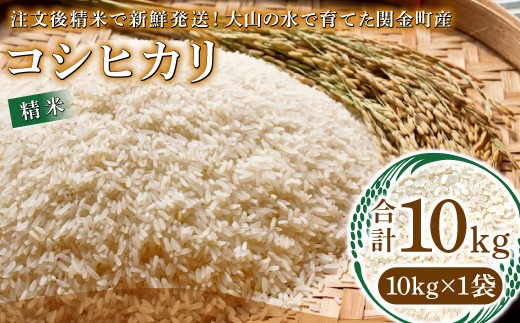 【数量限定】大山の水で育てた関金町産 コシヒカリ 10kg