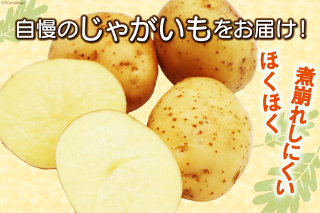 【先行受付】 じゃがいも ニシユタカ 10kg [宅島ファーム 長崎県 雲仙市 item1126] 野菜 ジャガイモ 10キロ 馬鈴薯 春じゃが 長崎県産 期間限定