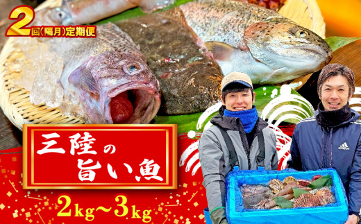 「下処理なし」【定期便/隔月全2回】【産地直送】三陸の旨い魚！季節の鮮魚便 2kg～3kg 