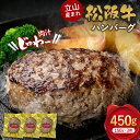 【ふるさと納税】立山産まれ 松阪牛 ハンバーグ 150g×3個 カシワファーム 和牛 牛肉 おかず 惣菜 時短 冷凍 富山県 立山町 F6T-158