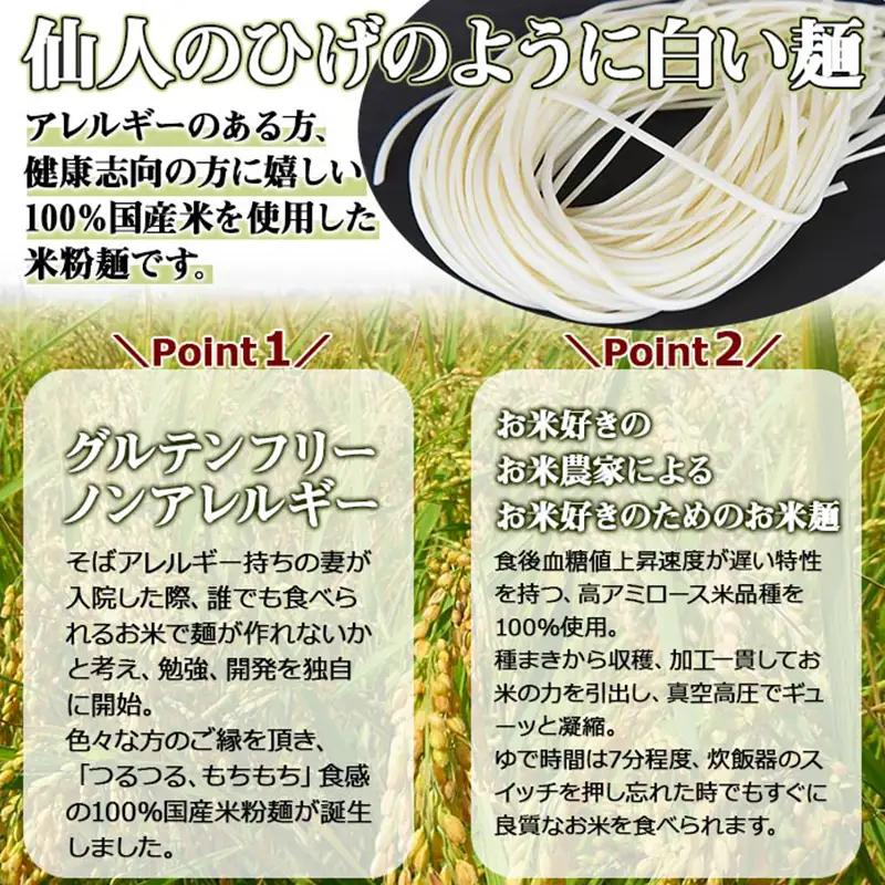 米粉麺 米仙人 120g×10玉 うどん そうめん ラーメン