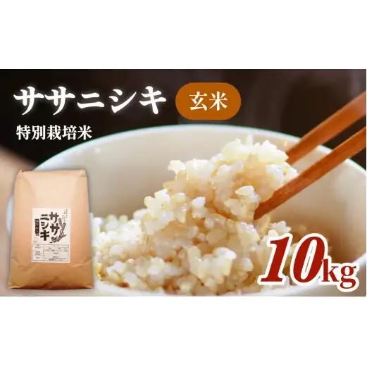 特別栽培米 ササニシキ 玄米 10kg