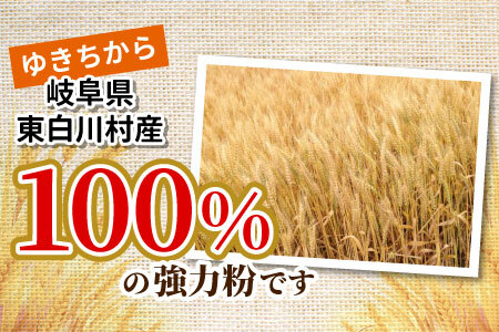 強力小麦粉 ゆきちから 2.5kg（500g×5袋） 岐阜県 東白川村産 小麦 国産 お取り寄せ 強力粉 小麦粉