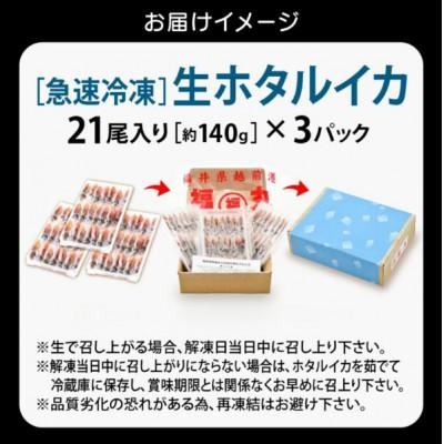 ふるさと納税 越前町 【毎月定期便】ホタルイカ(刺身・しゃぶしゃぶ用)　21尾入 × 3パック 合計約420g全3回 |  | 03