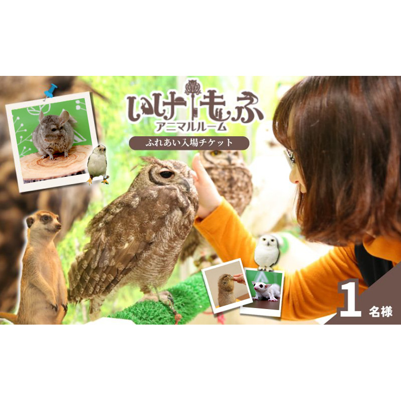 チケット 東京 ふれあい入場チケット 体験 ふくろう 爬虫類 チンチラ フクロモモンガ うさぎ モルモット ミーアキャット プレーリードッグ ヘビ カメ 写真撮影 ふれあい 豊島区 東京都