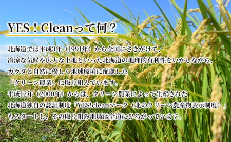 北海道 イエスクリーン米 令和7年産 ななつぼし 10kg 精米 米 白米 お米 新米 ごはん ご飯 ライス 道産米 ブランド米 新しのつ米 ふっくら 食味ランキング  産地直送 カワサキ森田屋 送料
