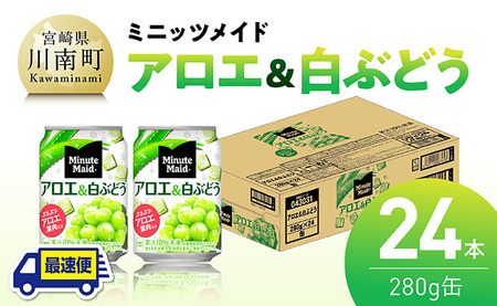 【最速便】コカ・コーラ ミニッツメイド「アロエ&白ぶどう」280g缶 24本（24本×1ケース） 【 飲料 アロエ 白ぶどう 果汁 長期保存 】