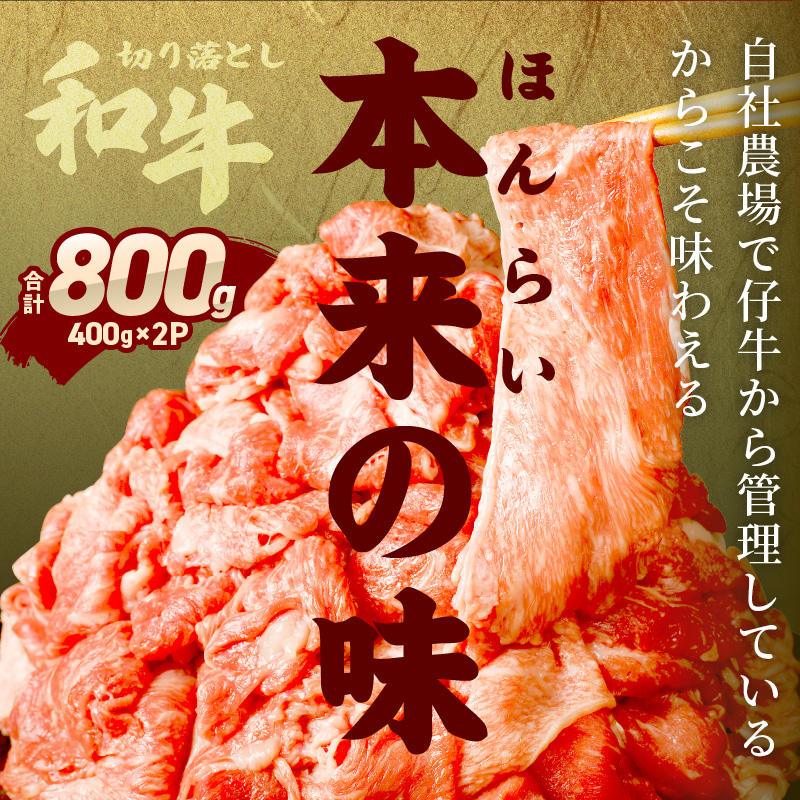 「和牛」切り落とし(400g×2パック)〈 和牛 切り落とし 志方亭 焼肉 肉 牛肉 小分け 冷凍 国産 送料無料 贈答用 美味しい お取り寄せ 肉 ギフト プレゼント おすすめ 〉【2401A004