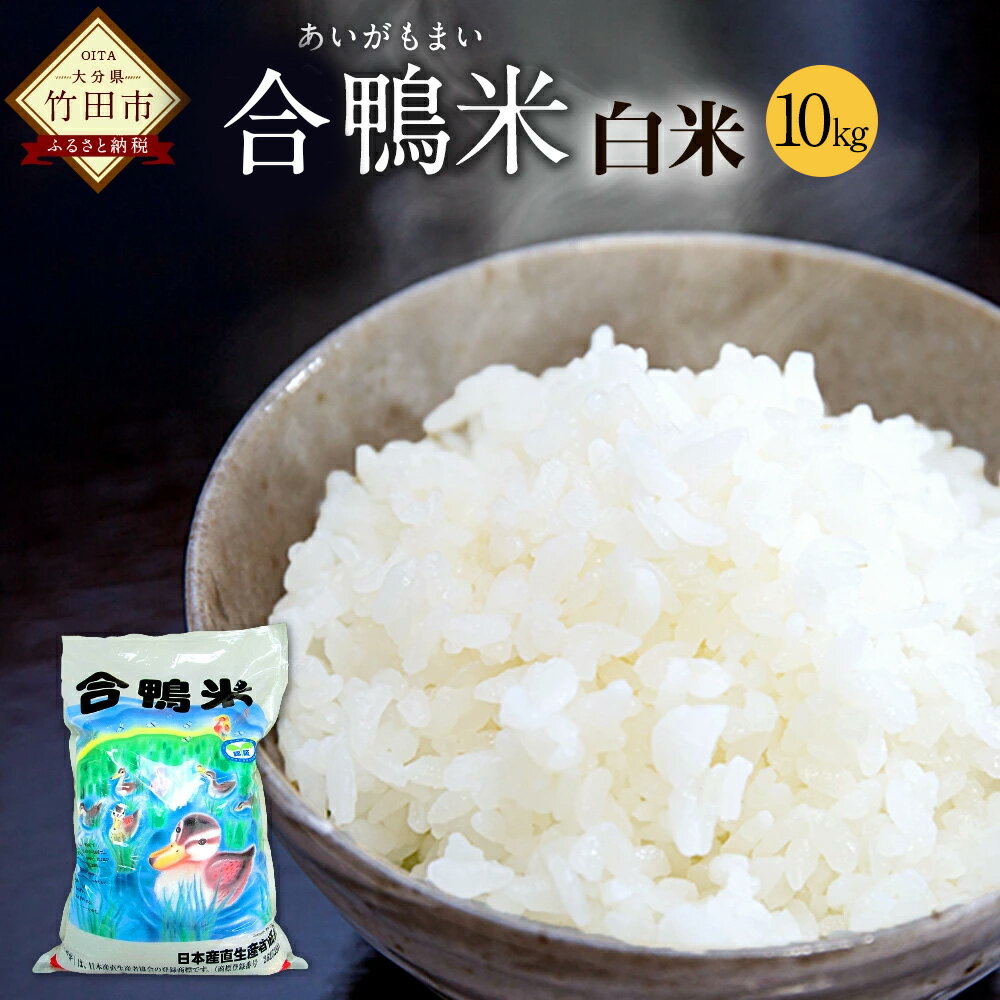 【ふるさと納税】〈令和7年産〉 合鴨米 白米 10kg 送料無料 ナツホノカ うるち精米 祖母山 ミネラル 天然地下水 大分県産【2025年10月上旬～2026年10月上旬発送予定】