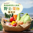 【ふるさと納税】シュシュの農産物直売所から直送 野菜・果物の詰合せ / 野菜 やさい 果物 くだもの フルーツ ふるーつ 産地直送 / 大村市 / おおむら夢ファームシュシュ[ACAA032]