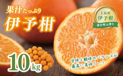 【先行受付】愛媛県産伊予柑 10kg 2L～L | 伊予柑 いよかん イヨカン 伊予かん 愛媛みかん 愛媛県産 愛媛 柑橘 柑橘類 みかん ミカン 蜜柑 果物 フルーツ 国産フルーツ 国産果物 旬の果物 産地直送 お取り寄せ お取り寄せフルーツ 家庭用 ご家庭用 自宅用 大容量 10キロ 箱入り 箱詰め 箱買い オレンジ系柑橘 柑橘セット 青果 生果 農産物 愛媛県 上島町 愛媛県上島町