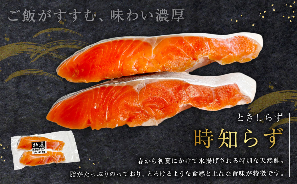 紅鮭10切れ×トキシラズ10切れ 計1.6kg 食べ比べセット 各2切れ 小分け 2種 時知らず 幻の鮭 天然鮭 ご飯のお供 贈り物 季節のギフト 個包装 サーモン しゃけ シャケ さけ サケ F4F-8864