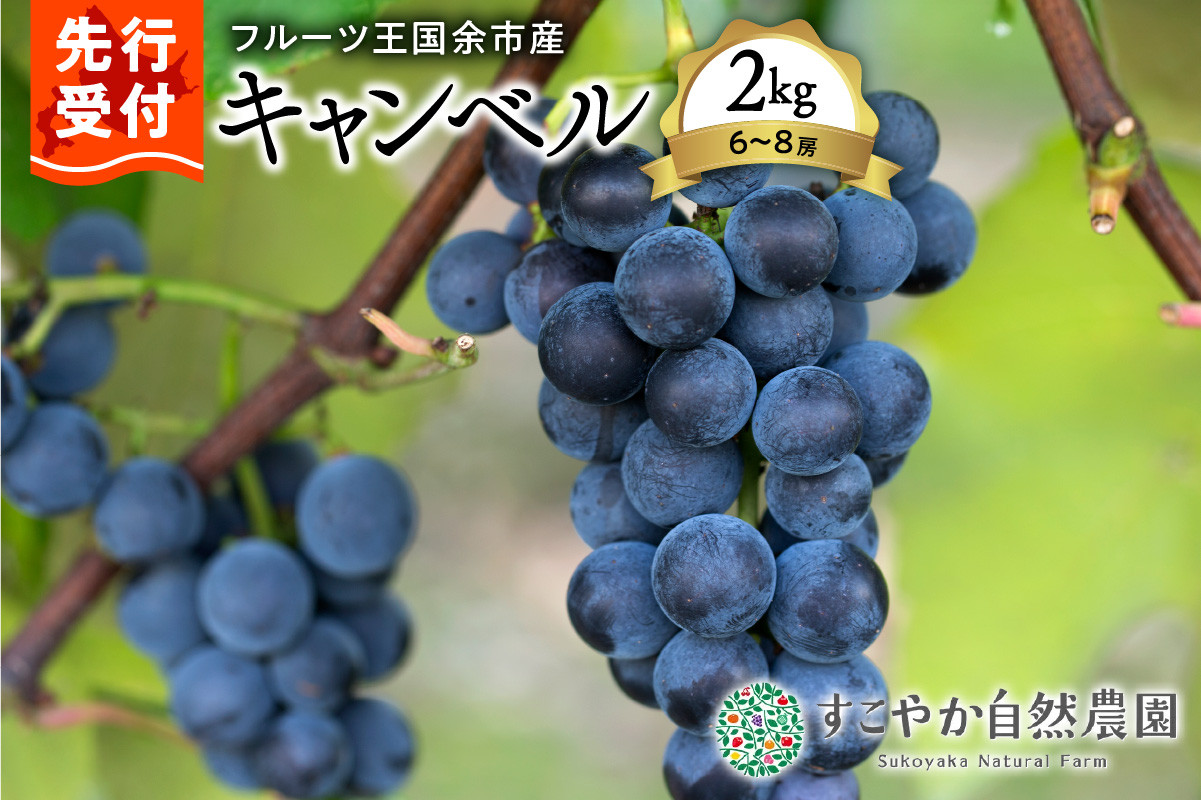 
            2025年発送【先行予約】令和7年産ぶどう(キャンベル)2kg箱6～8房【すこやか自然農園】
          