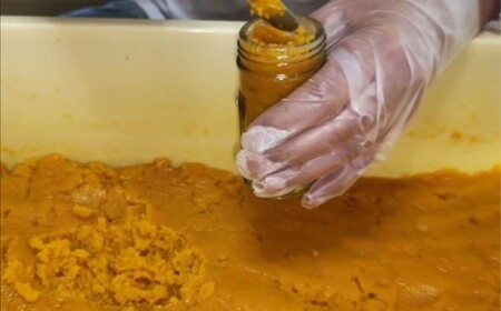 【7営業日以内発送】発祥の味 生からすみ 70g×2本入 （計140g） ／ からすみ カラスミ 魚卵 つまみ 鰡 ボラ ぼら 珍味 九州 長崎県 長崎市 冷蔵