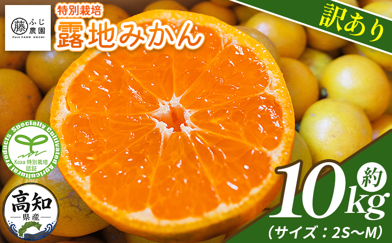【2026年10月以降順次配送分】ふじ農園の露地みかん 訳あり品 10kg (2S～M) - 国産 蜜柑 ミカン 柑橘 果物 フルーツ 訳アリ ご家庭用 家庭用 自宅用 ふじ農園 高知県 香南市 常温 fn-0014