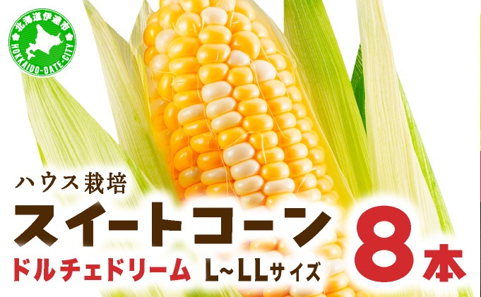 とうもろこし ドルチェドリーム L～LLサイズ 8本 ハウス 栽培 バイカラー スイートコーン 北海道 伊達市 生産者 直送 新鮮 宍戸農園 【オンライン決済限定】