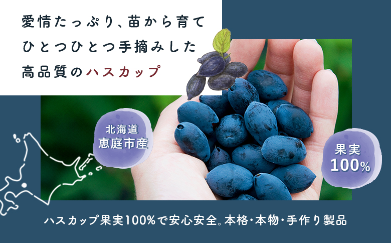 【のし付き】「紫のめぐみ」ハスカップジャム&ソースセット（各1本）【010004】