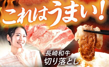 長崎和牛 切り落とし 800g（400g×2）肩ロース・モモ・カタ・バラ使用 / 牛肉 ぎゅうにく 肉 和牛 国産牛 切落し?/ 諫早市 / 西日本フード株式会社 [AHAV004]