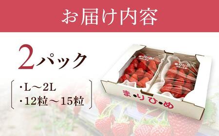 まりひめイチゴ L～２L 12粒～15粒×2パック【2025年1月初旬から発送】【先行販売】【KG7】