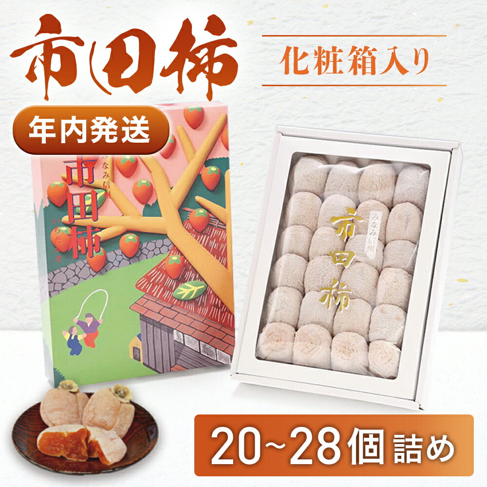 【ふるさと納税】＜先行予約＞市田柿（化粧箱）[20〜28個]※2025年12月発送※