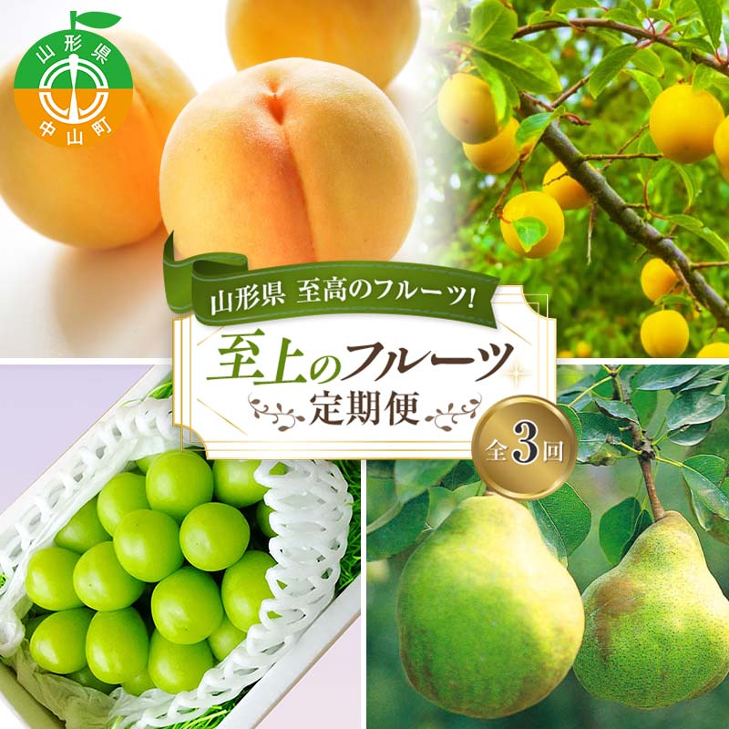 【ふるさと納税】 令和7年8月発送開始 山形県至高のフルーツ！山形県至上のフルーツ定期便 全3回 F4A-0456