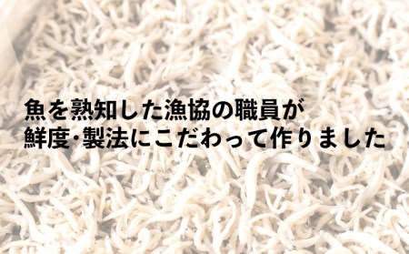 釜揚げしらす 1kg 小分け パック 200g 5パック 沼津我入道漁協特製 