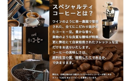 コーヒー 白神山地の水とコーヒー 2種 ギフト セット ドリップコーヒー ミネラルウォーター 詰め合わせ 飲み比べ ドリップ ドリップオン オールドブレンド スペシャルティコーヒー ブレンドコーヒー 
