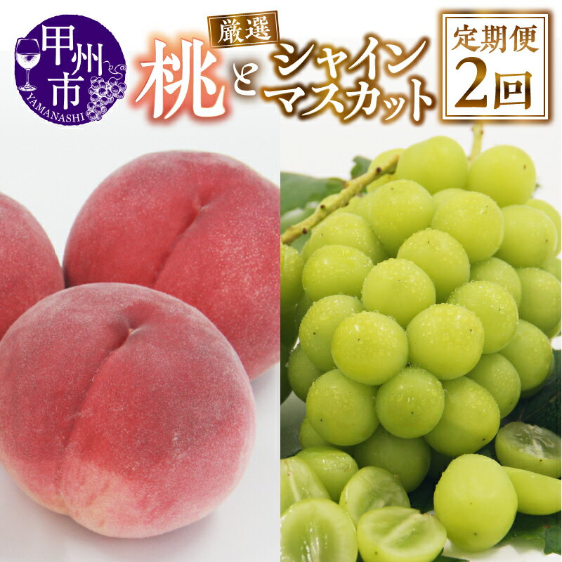 【ふるさと納税】 フルーツ 定期便 2回 もも 約2kg 4～7玉 シャインマスカット 約1kg 2～3房 果物 厳選 新鮮 朝採れ 産地直送 数量限定 期間限定 2025年発送 6月 7月 8月 9月 10月 発送 甲州市 人気 果実 ぶどう 葡萄 桃 山梨 社員マスカット（APX） 【C-175】
