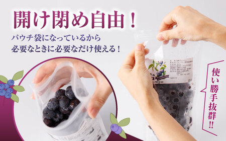 【全3回定期便】冷凍ブルーベリー 計1.2kg ( 400g × 3パック ) 熊本県産冷凍ブルーベリー 山都町産冷凍ブルーベリー ブルーベリー フルーツ ブルーベリースムージー 果物 小分け冷凍ブル