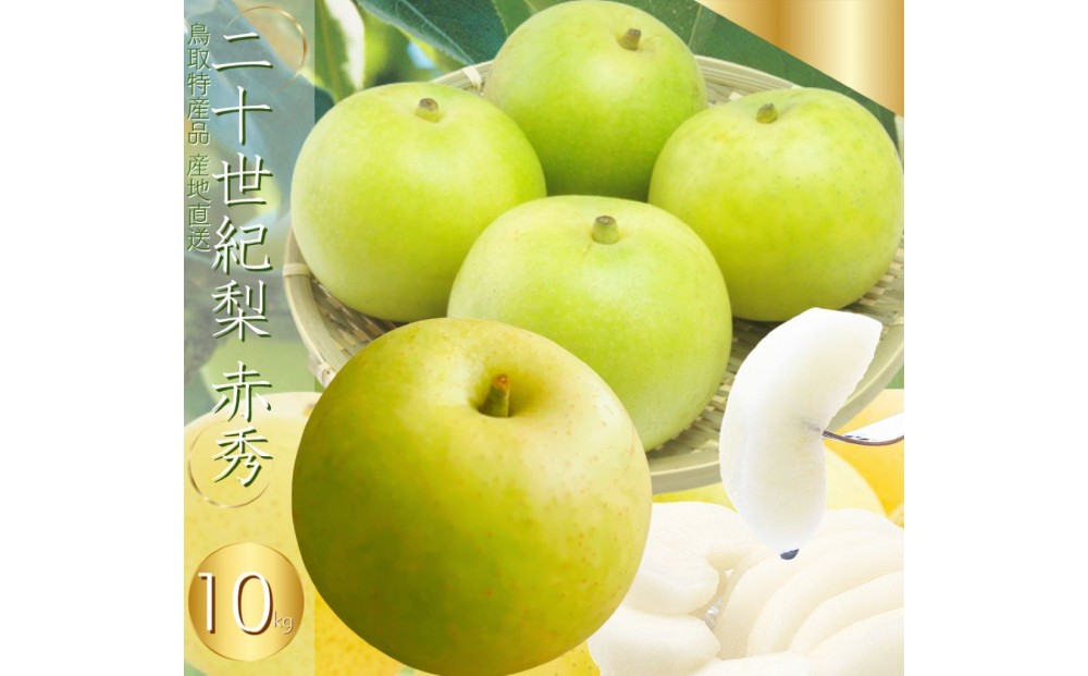 
            鳥取県産 二十世紀梨（贈答用）赤秀 10kg
          