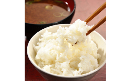 精米 5kg ほたる米【令和6年産】お米 米 ご飯 城里町 桂農産 ＼那珂川の清流ホタル米／【配送不可地域：離島】 (AX009)