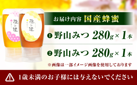【はちみつお試しセット】 早春みつ・野山みつ 各1本（280g×2） / はちみつセット スピード発送[AFAI043]