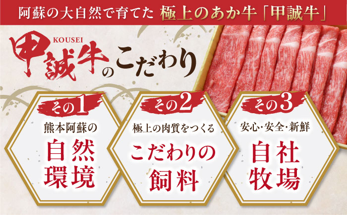 あか牛 赤身モモスライス セット 400g あか牛のたれ付き すき焼き しゃぶしゃぶ 熊本 赤牛 褐牛 あかうし 褐毛和種 肥後 冷凍 国産 牛肉 【有限会社 三協畜産】[YCG009]