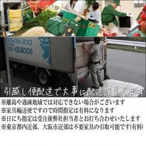 【幅117 奥行39 高さ40.5】リーフ120センチ幅上置き（ウォールナット）