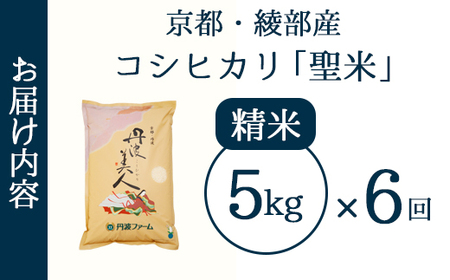 【定期便6回】丹波美人 白米 5kg×6回 / 米 白米 定期便 綾部市 / 有限会社カメイ［BSDY053］
