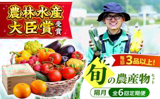 【全6回定期便】 新鮮 野菜 ！ 旬の農産物定期便  愛媛県大洲市/大洲市青年農業者協議会 [AGBL001] 新鮮野菜セット 野菜セット フルーツ 果物 果物セット 野菜詰め合わせ 野菜果物セット 国産野菜 詰め合わせ