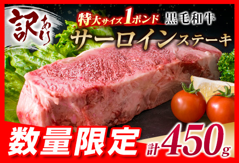 訳あり 数量限定 特大サイズ 1ポンド 黒毛和牛 サーロイン ステーキ 計450g 牛肉 国産 焼肉 鉄板焼き キャンプ BBQ グランピング アウトドア 人気 おすすめ 贅沢 ご褒美 記念日 お祝 肉厚 おかず 食品 グルメ 手土産 お取り寄せ 宮崎県 日南市 送料無料 お肉だヨ!全員集合!! KOO評価★日南市 うめぇもん祭_BC78-23