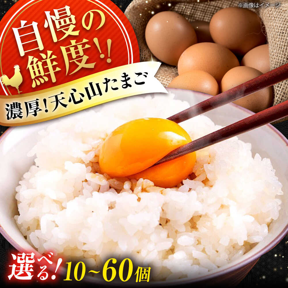 【ふるさと納税】天心山 たまご 【選べる個数】 卵 たまご 高級 食品 たまごかけご飯 卵かけご飯 卵焼き 生卵 濃厚 ケーキ お菓子 づくり ランキング 上位 人気 おすすめ 送料無料 産地直送 新鮮 朝採れ 鶏卵 生食用 玉子 TKG 広島県福山市/天心山ファーム[BABW011]