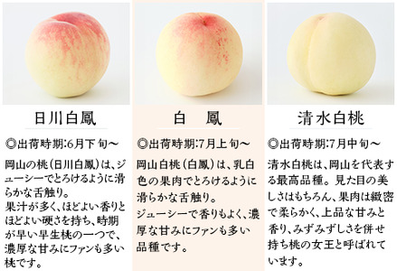 【ご家庭用】岡山白桃 清水白桃 5～7玉