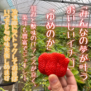 訳あり！太良町産「ゆめのか」冷凍いちご500ｇ×４袋 佐賀県 太良町 NB45