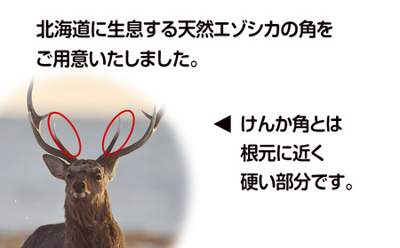 鹿の角 エゾシカ 犬のおもちゃ 『鹿角さん』 大型犬用　けんか角タイプ　１本 CB038
