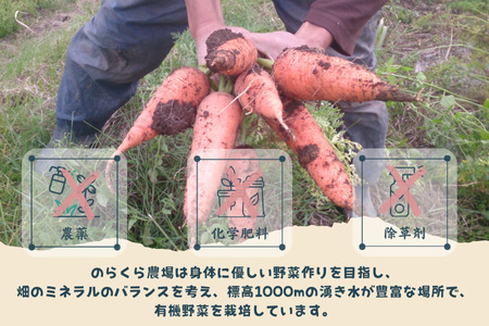 旨みにんじんジュース　６本セット〔NK-04〕