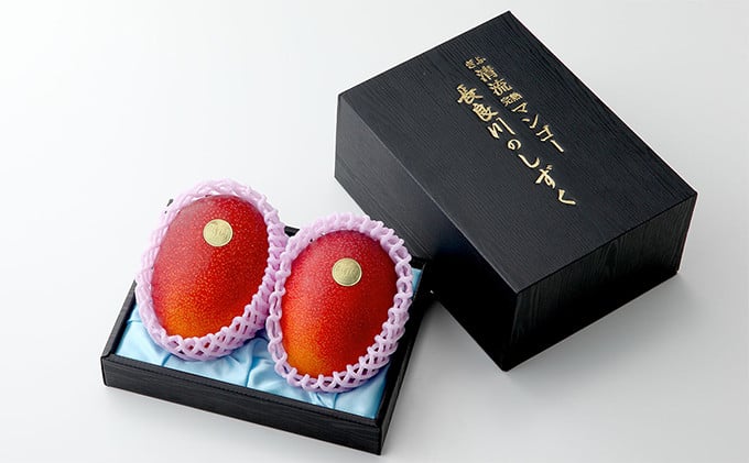 
            ぎふ清流完熟マンゴー2個入り｜果物 フルーツ 旬 採れたて お取り寄せ お取り寄せグルメ デザート スイーツ おやつ 贈答用 贈り物 ギフト プレゼント ※北海道・沖縄県・離島への配送不可 ※2026年6月中旬～7月下旬頃に順次発送予定
          