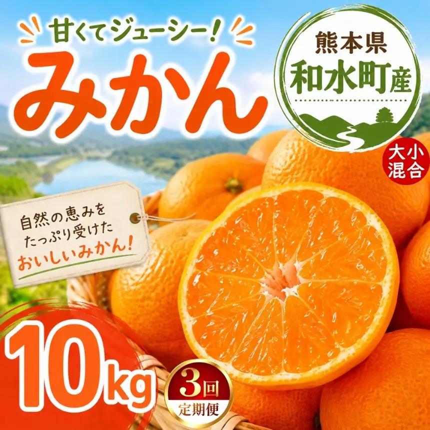 【定期便3回】熊本県 和水町産 大小混合 みかん 10kg ミカン フルーツ 定期便
